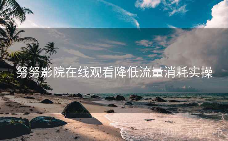 努努影院在线观看降低流量消耗实操