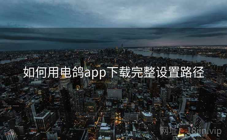 如何用电鸽app下载完整设置路径