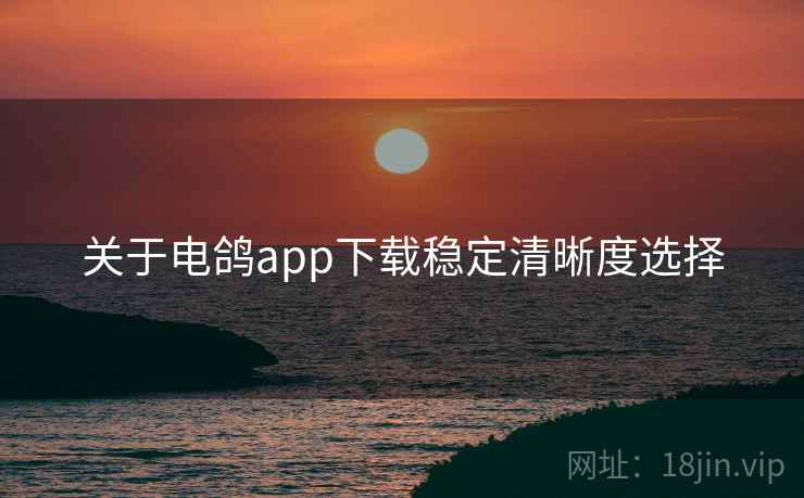 关于电鸽app下载稳定清晰度选择