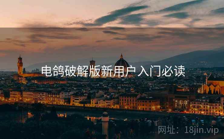 电鸽破解版新用户入门必读