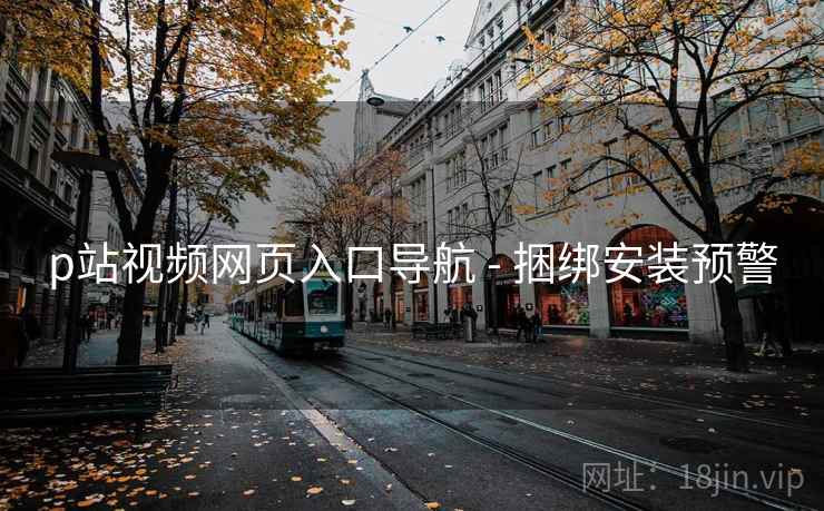 p站视频网页入口导航 - 捆绑安装预警