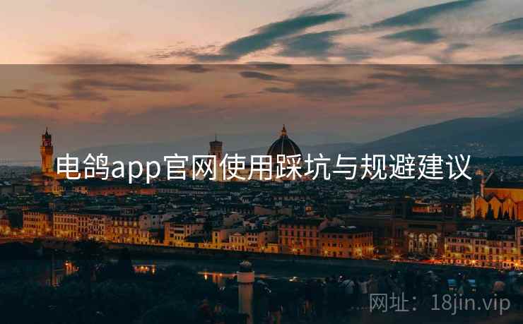 电鸽app官网使用踩坑与规避建议