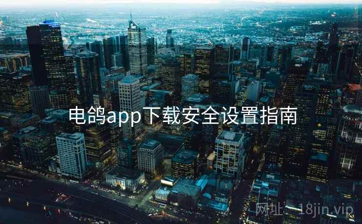 电鸽app下载安全设置指南