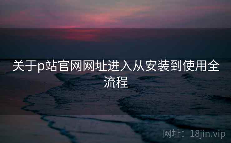 关于p站官网网址进入从安装到使用全流程
