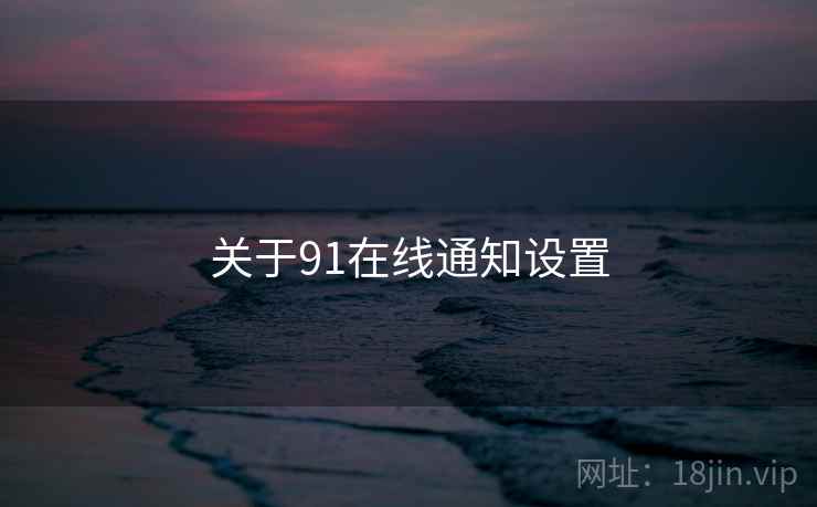 关于91在线通知设置